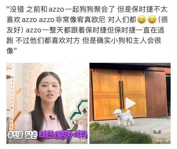 直井怜在节目上说狗都像它的主人，那么直井怜的狗狗不喜欢安宥真的狗狗，是不是变相说