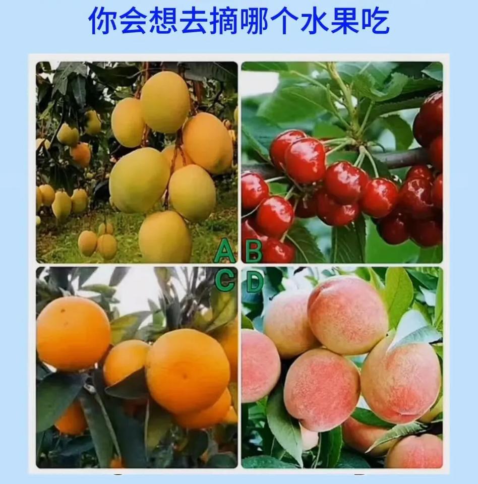 心理测试:测你何时能逆袭暴富？？夏天来临，也是各式水果成熟的季节红彤彤诱人