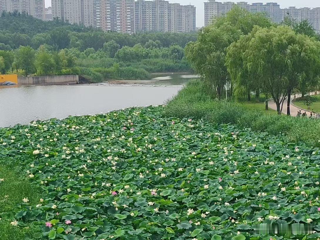 谁是好婆婆，谁是恶婆婆，这与婆婆本身没啥关系，关键看你遇到一个什么样的儿媳妇。