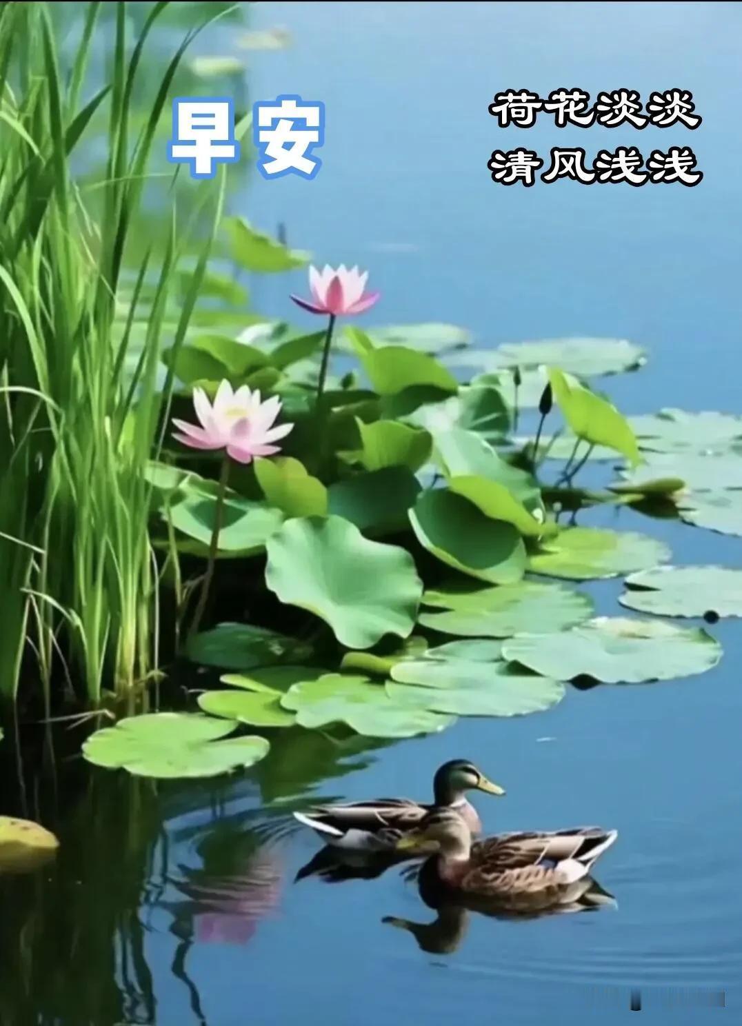 早安呀，一睁眼就想到你，愿你今日轻松无忧。