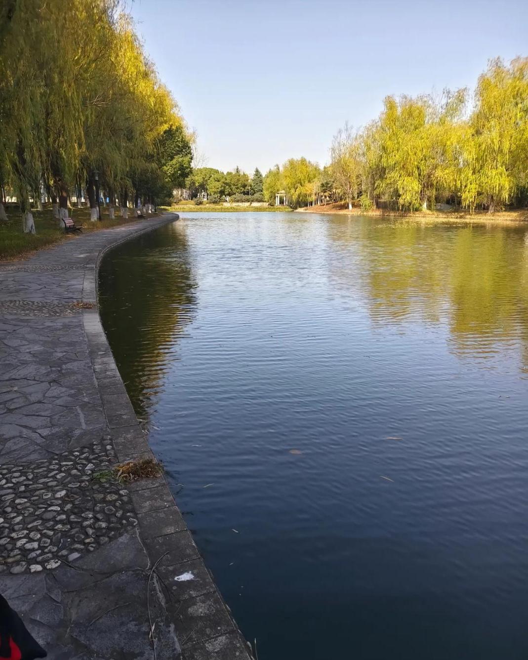 深夜惊魂，瞒不住了！12月8日晚，安徽工程大学大一女生小菲，在参与校内户外游戏