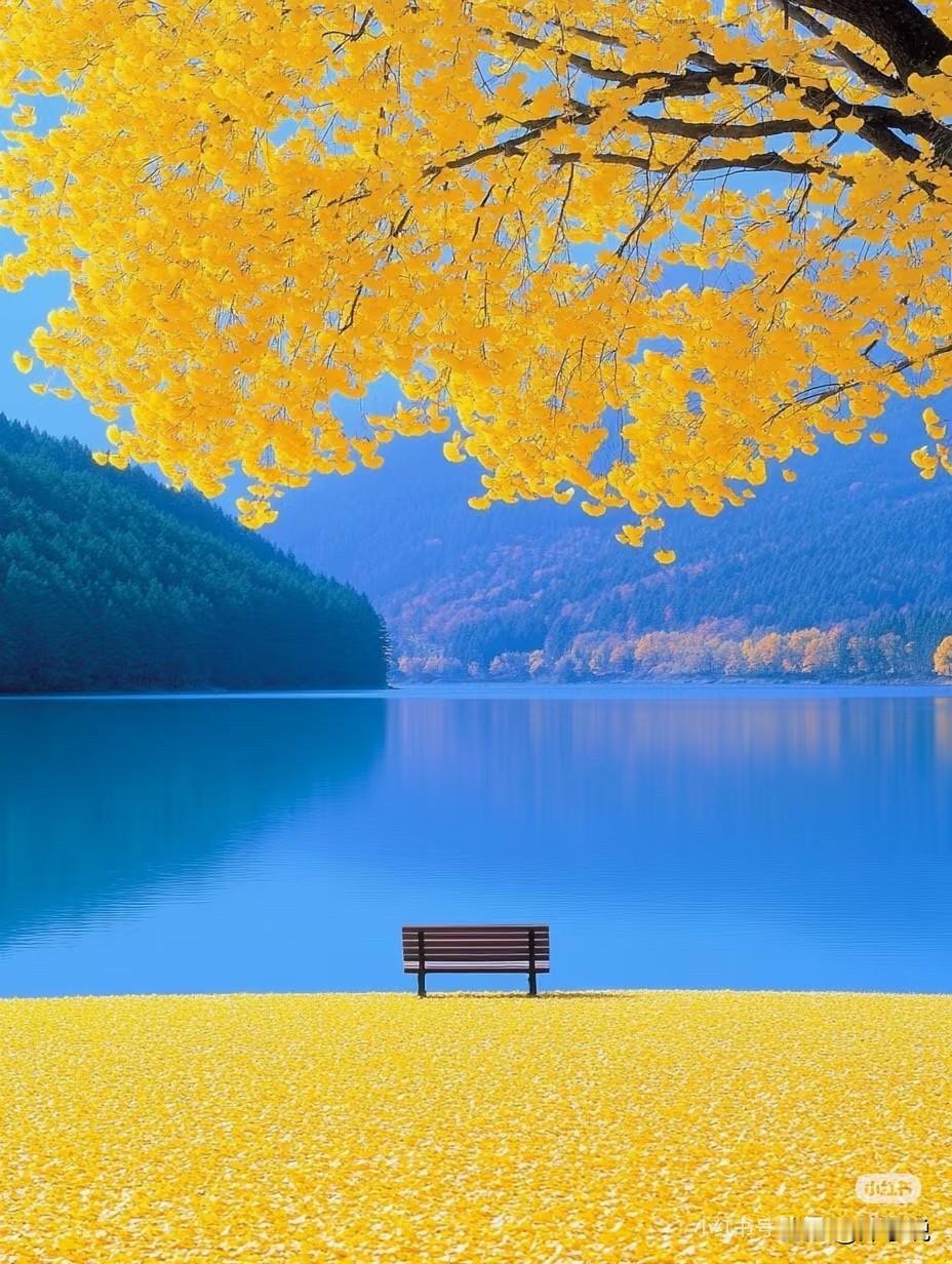 家人们，我真服了！46岁，工作没了，在家领失业金。本来听说有个4050补