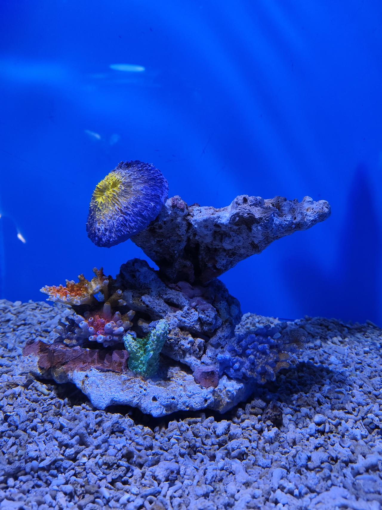 关于孩子教育的最终目的，以及如何围绕这一目的来规划学习路径，以下是我的一些初步思