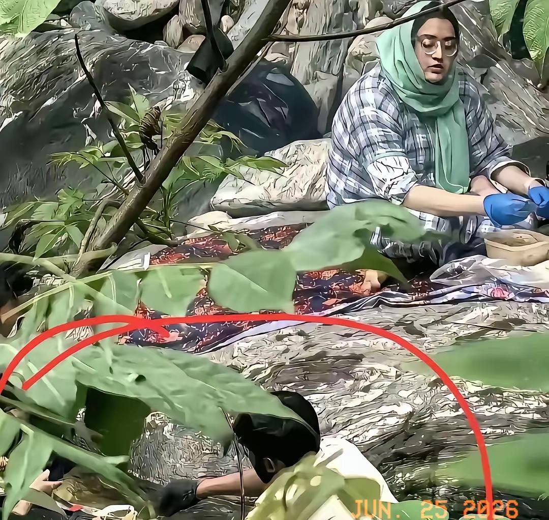 在秦岭烧烤的阿三找到了。深山里一堆还在冒烟的炭灰，几句不耐烦的回嘴，背后是更
