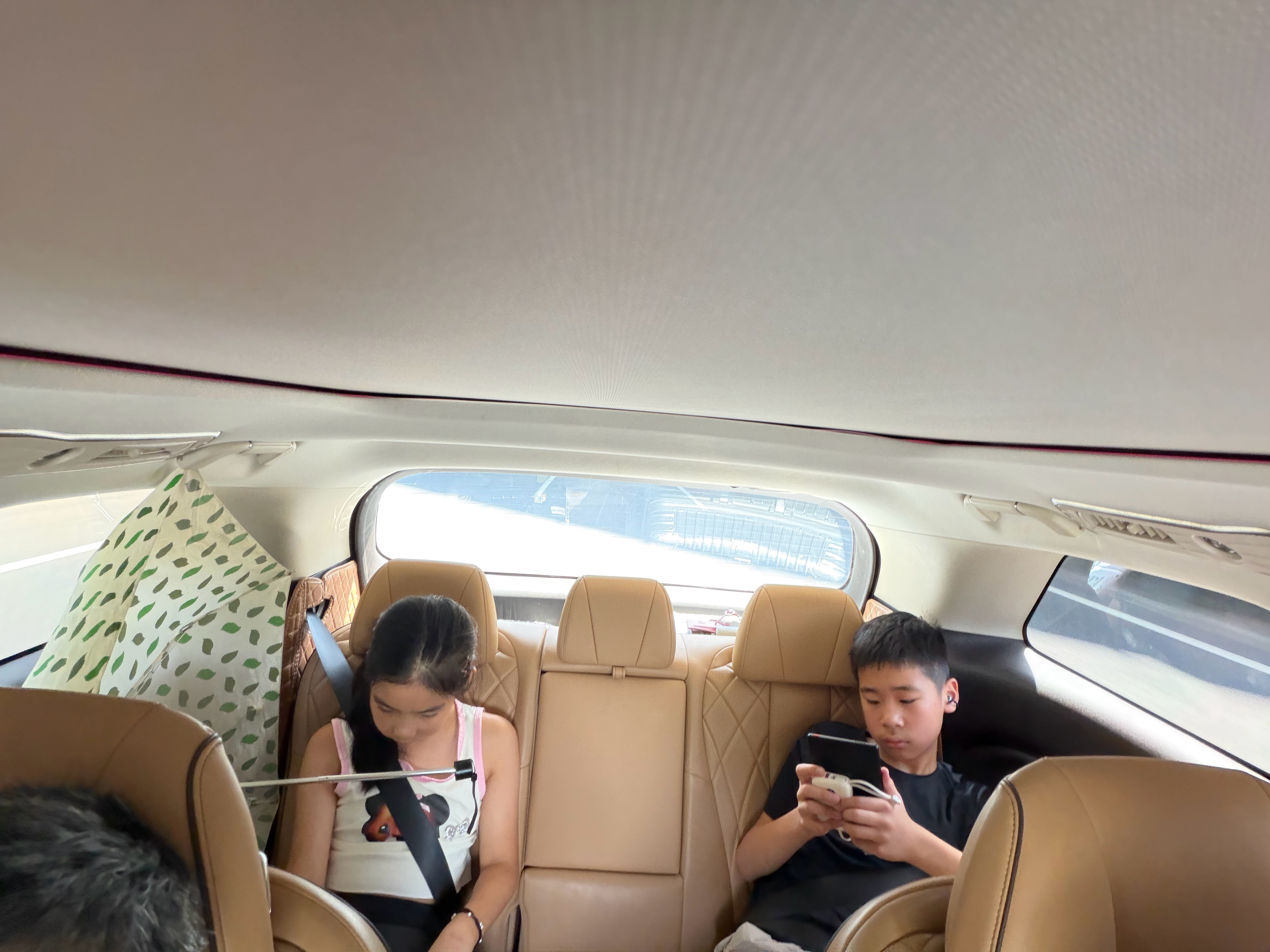 东北之行，去程从上海出发，回程到杭州。打了一台六座专车，来的是腾势D9。空间功