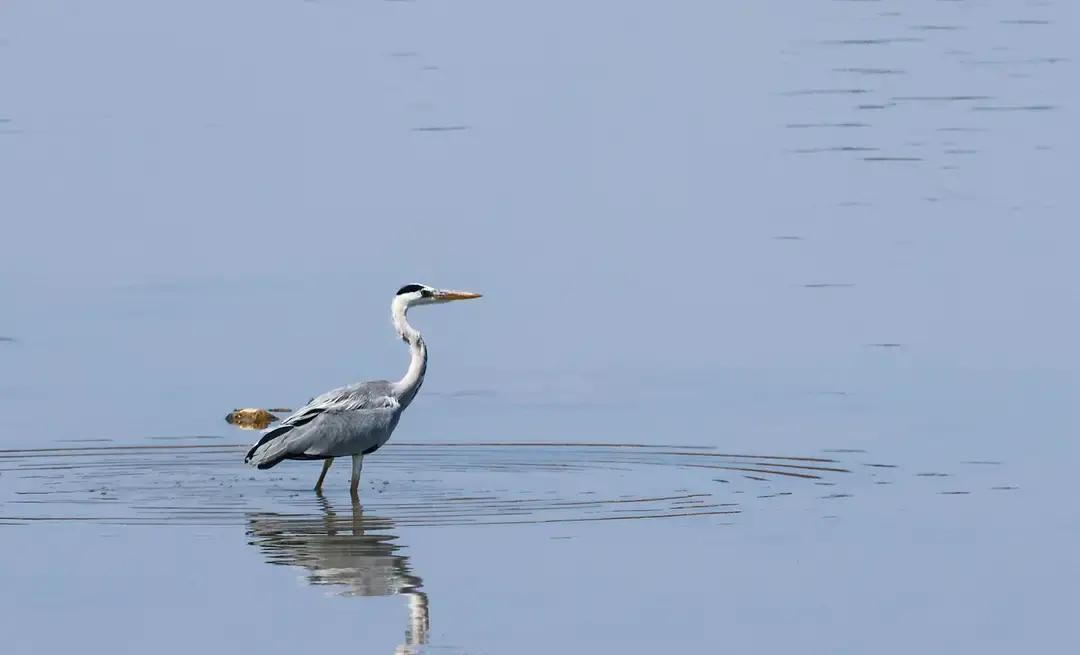 俩“副县级”，副县长和副书记的差距可不是一星半点别看副县长和副书记都挂着“副”