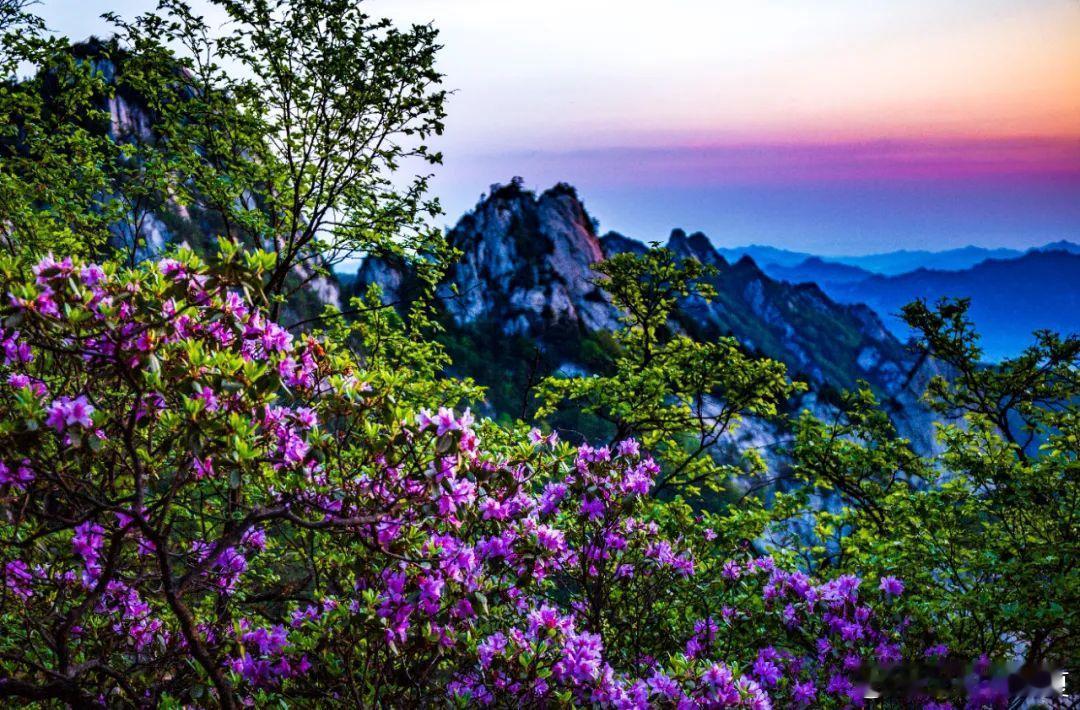 初夏去尧山，赏繁花，看世外桃源，诗心入画处，芳菲已满襟～寻美中国寻美河南​​​