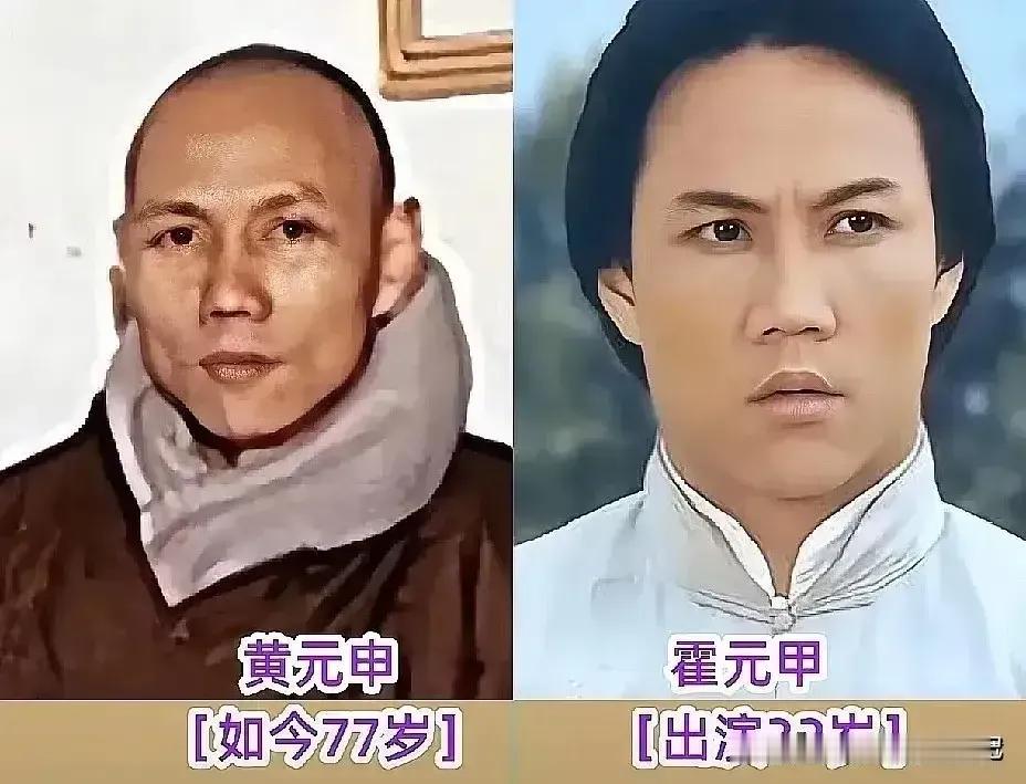 黎汉持演的龙海生非常形象。黄元申演的霍元甲非常形象。谭荣杰演的刘振声非常形象