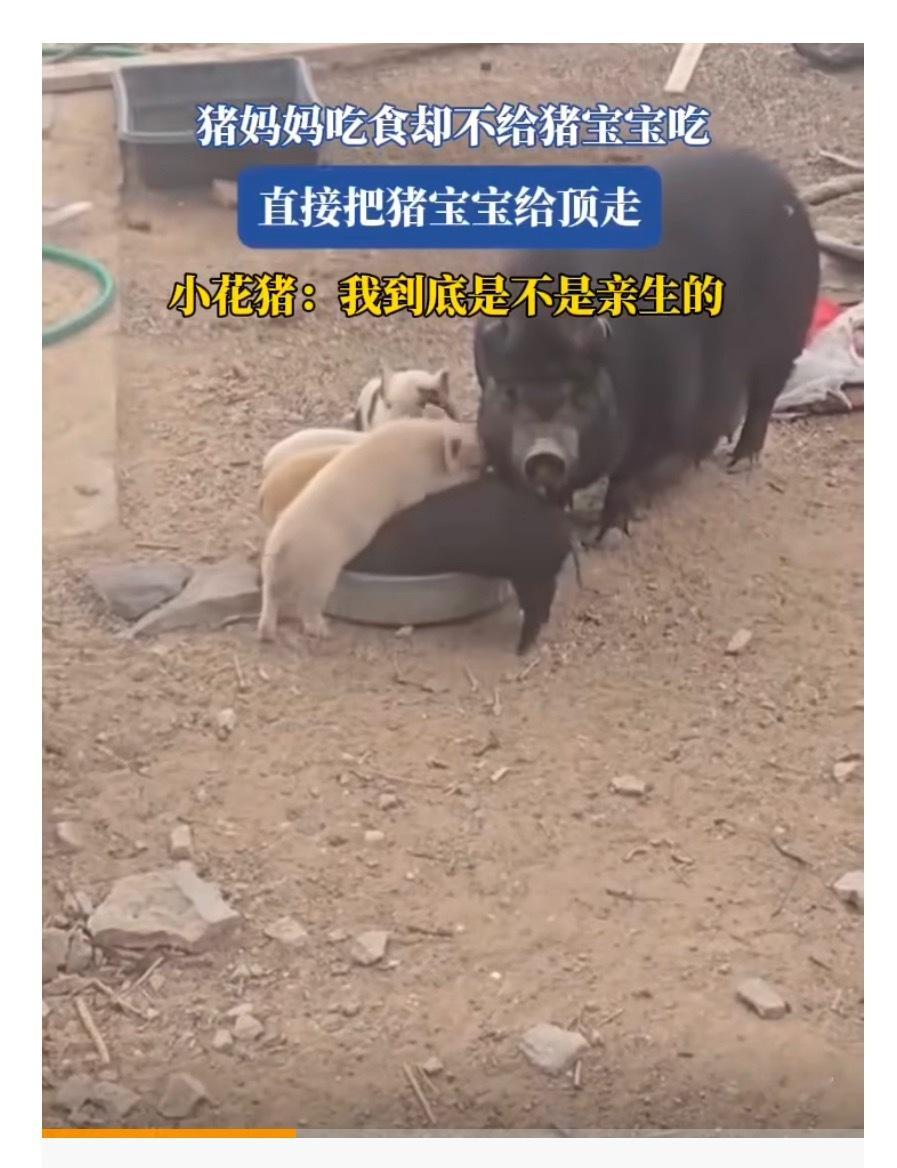 都已经给我推送这种视频了？[微笑]​​​