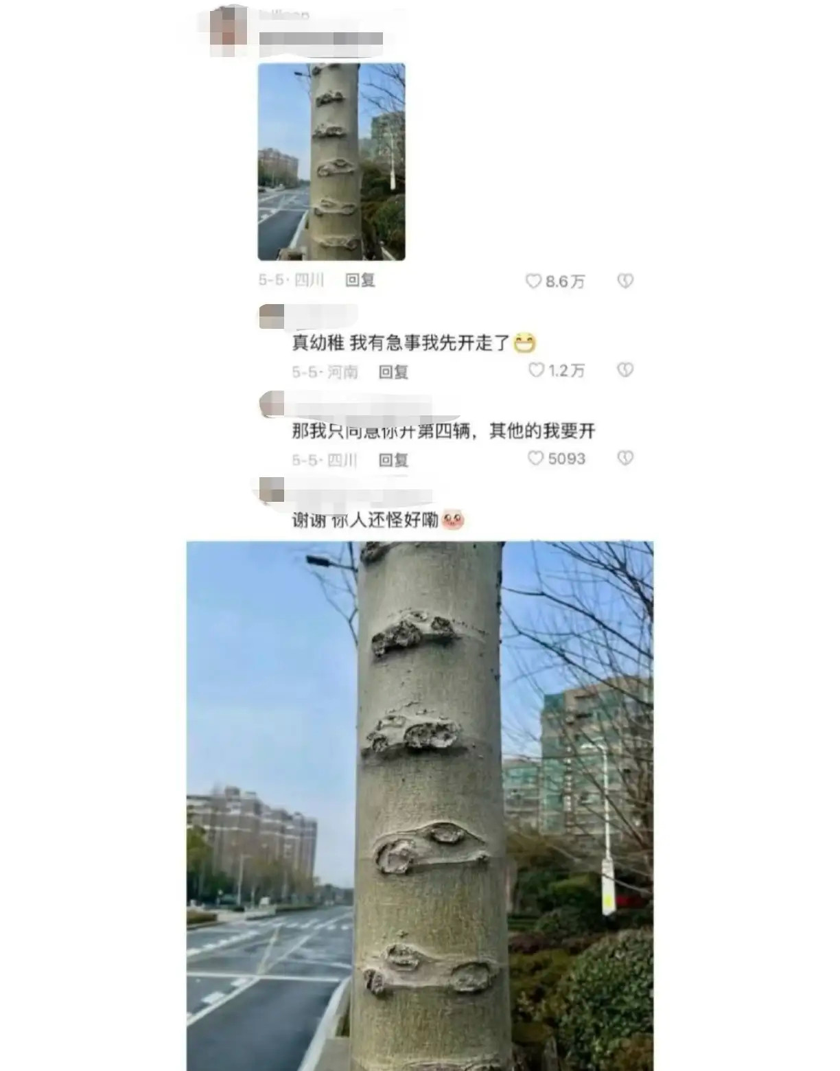 分享欲就是很浪漫啊总有人懂你的小雀跃