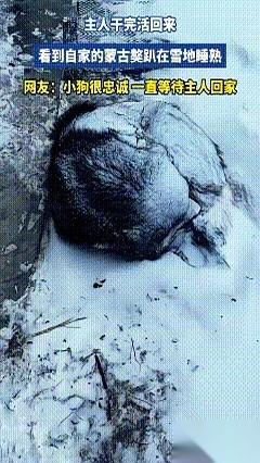 干完活回家，天都快黑了，那风雪大的，眼睛都睁不开。老远就瞅见，家门口怎么多了个