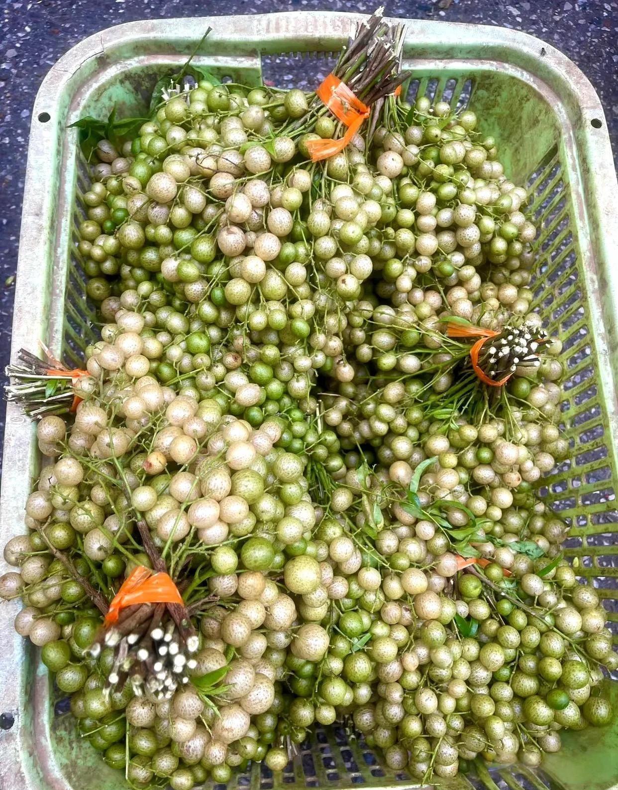 这是什么水果啊