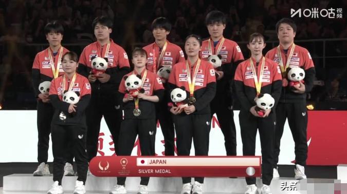 张本智和领奖又黑脸！赢了唯一一分，却比输还难受？颁奖台上，别人笑得灿烂，张本智