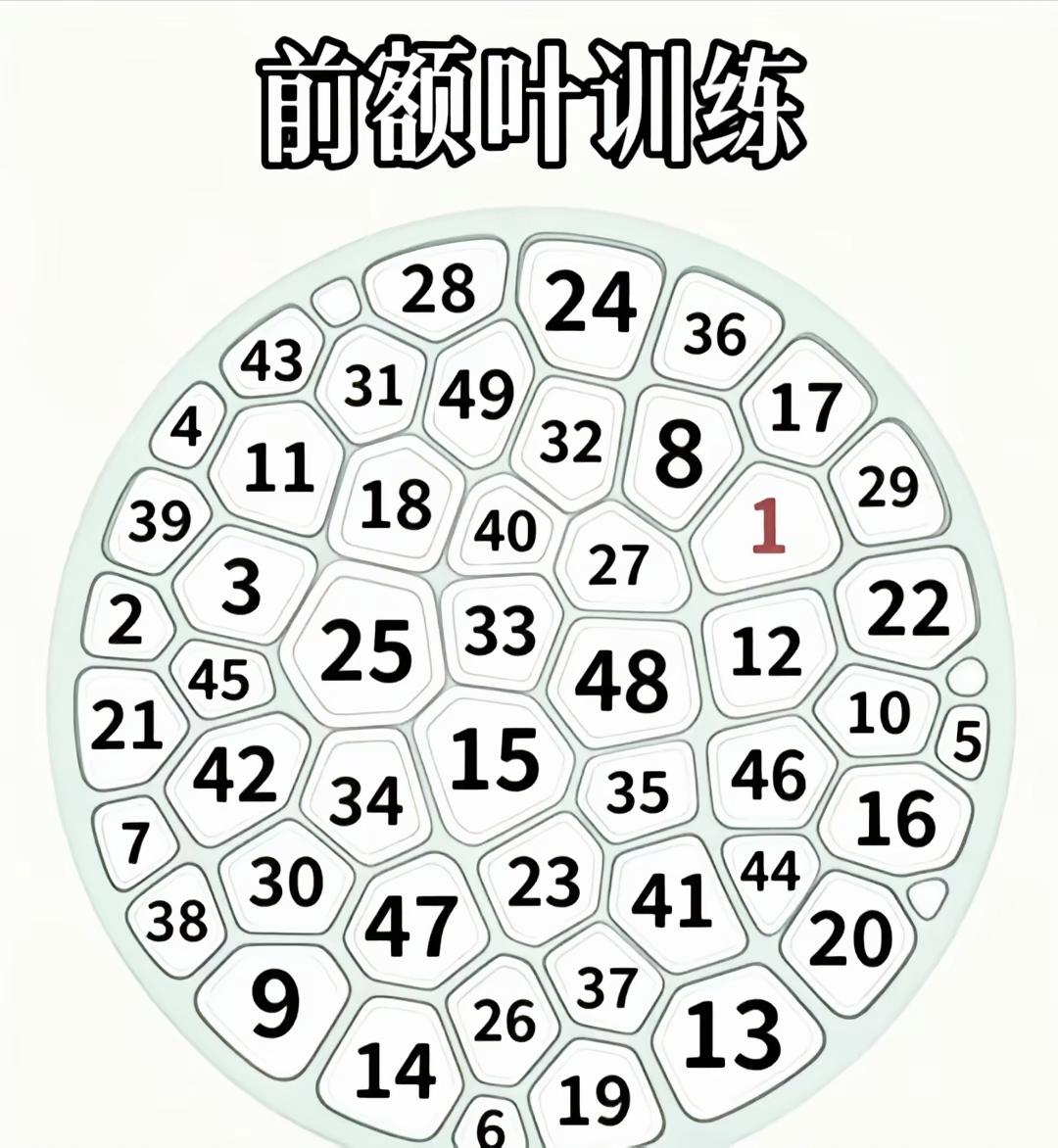 前额叶专注力测试｜从1找到49，两分钟通关算高手，你敢计时吗眼力挑战专注力