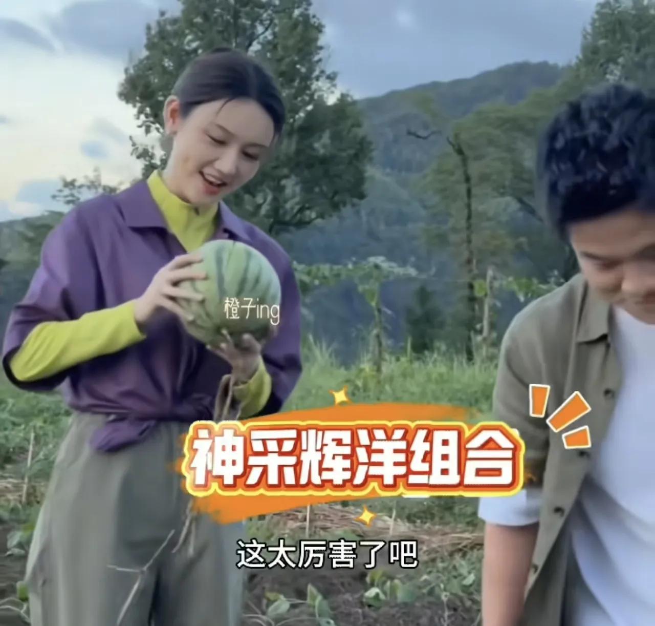 破案了！原来神采辉洋组合又合体了，董宇辉跑到浙江是去录制《山海寻味》去了，他