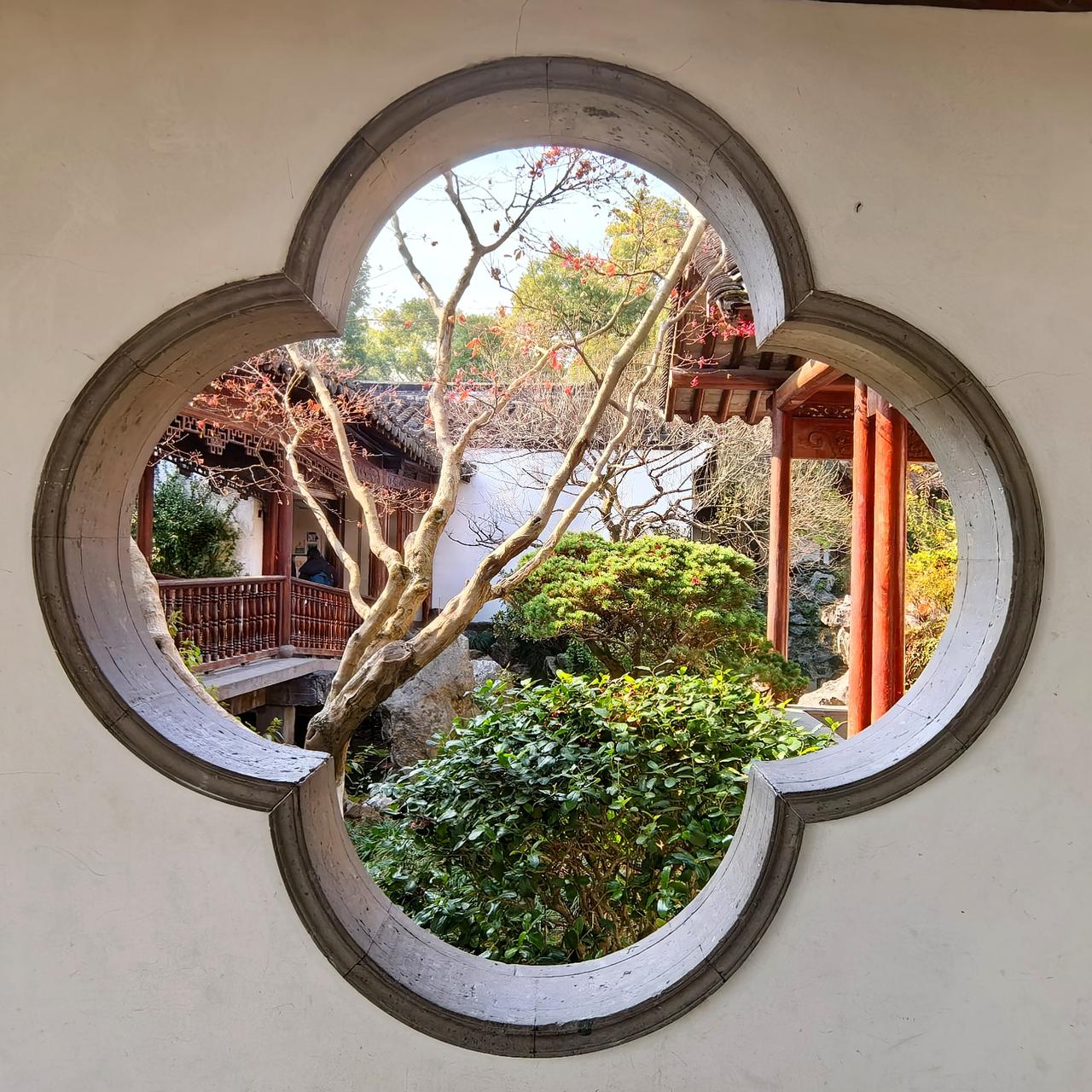 12月16日，杭州西湖风和日丽，秋景依旧。今年入冬以来，微风轻拂，晴日不断，秋天