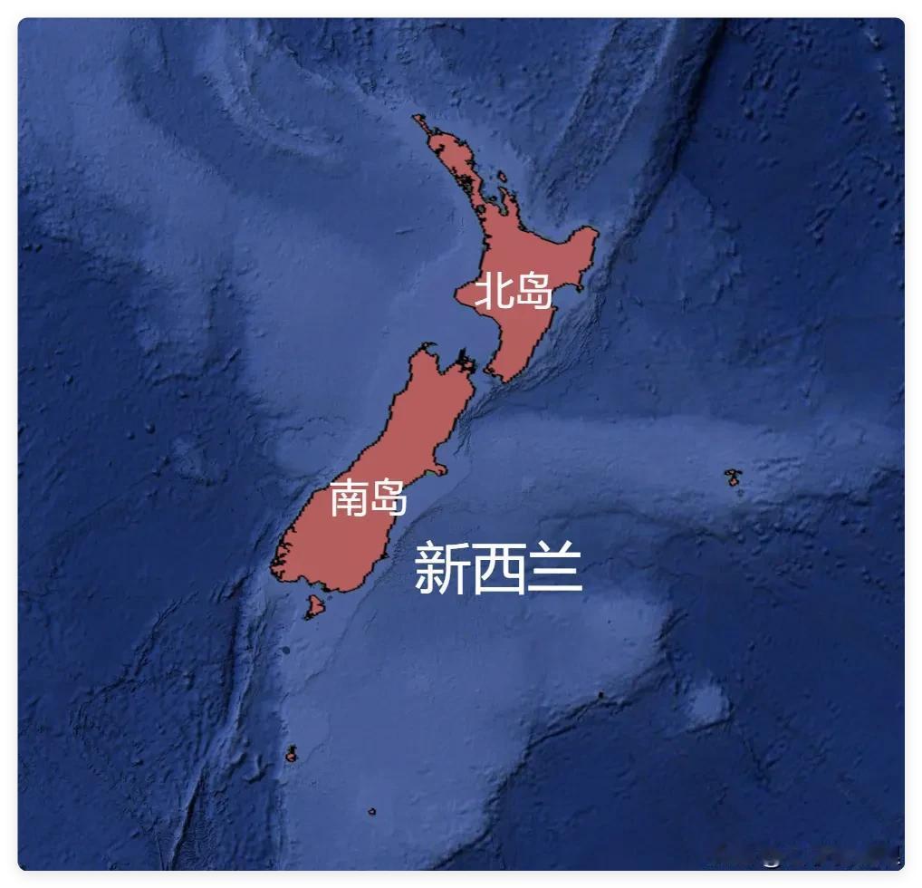 1905年引进几十只，如今每天排粪几十吨！新西兰人为何束手无策？想象一下，清