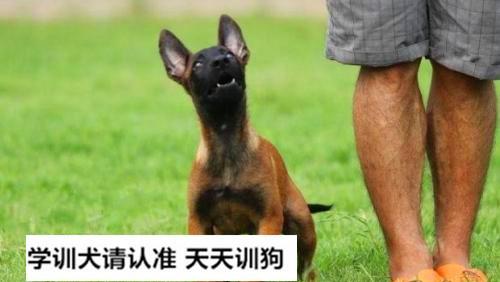 13905255528513906164.jpg?id=0