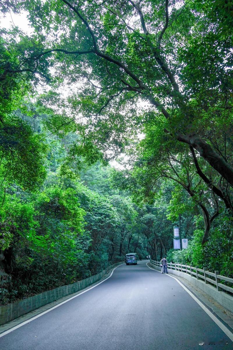 1.白云山“六榕小径”路线。白云山有很多个入口，这条路线避开人流，大约徒步10公