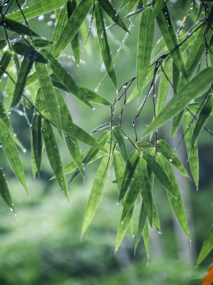 赴一场山野溪涧的约会～
