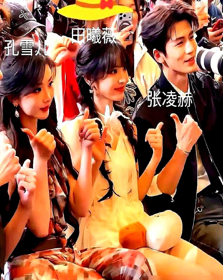 高片酬演员，真的早就不是我们想象中的“演员”了。就拿白鹿来说，一部剧片酬