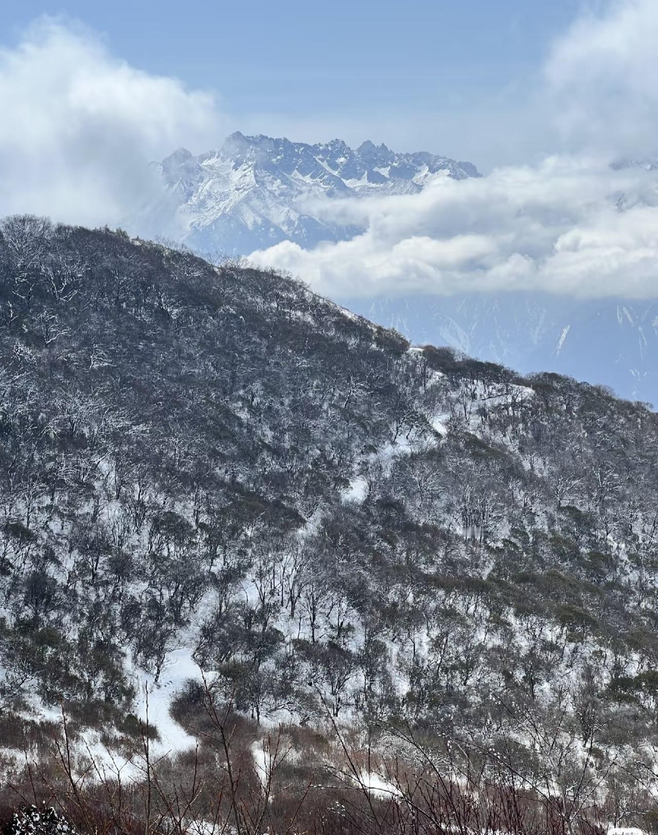 秦岭，冬日照，一副水墨画[赞]