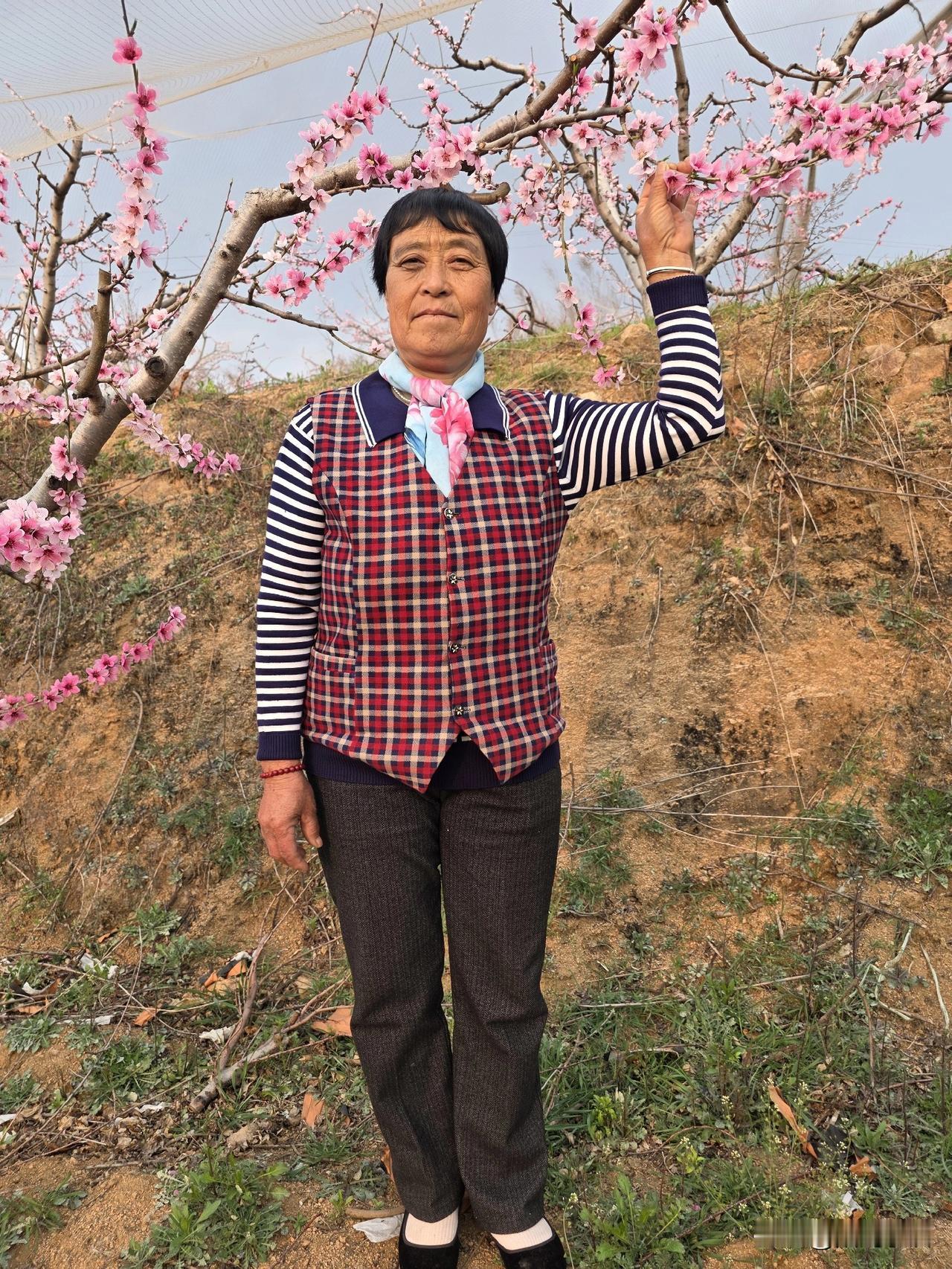 二嫂一早来视频电话，说想死的心都有……这是村里最忙的时候。锄地，浇麦子，浇果