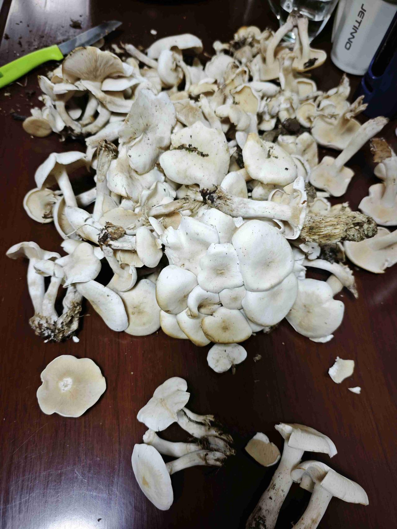 今早凌晨三点半，黑咕隆咚的，你在哪？我在墓地，你信不信？惊悚不？恐怖不？毛骨悚然