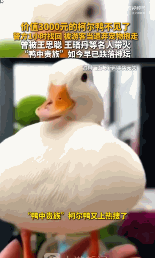 顺丰那有顺手快！安徽芜湖的古城景区里，一家店铺老板急得抓耳挠腮，自己精心照料、价