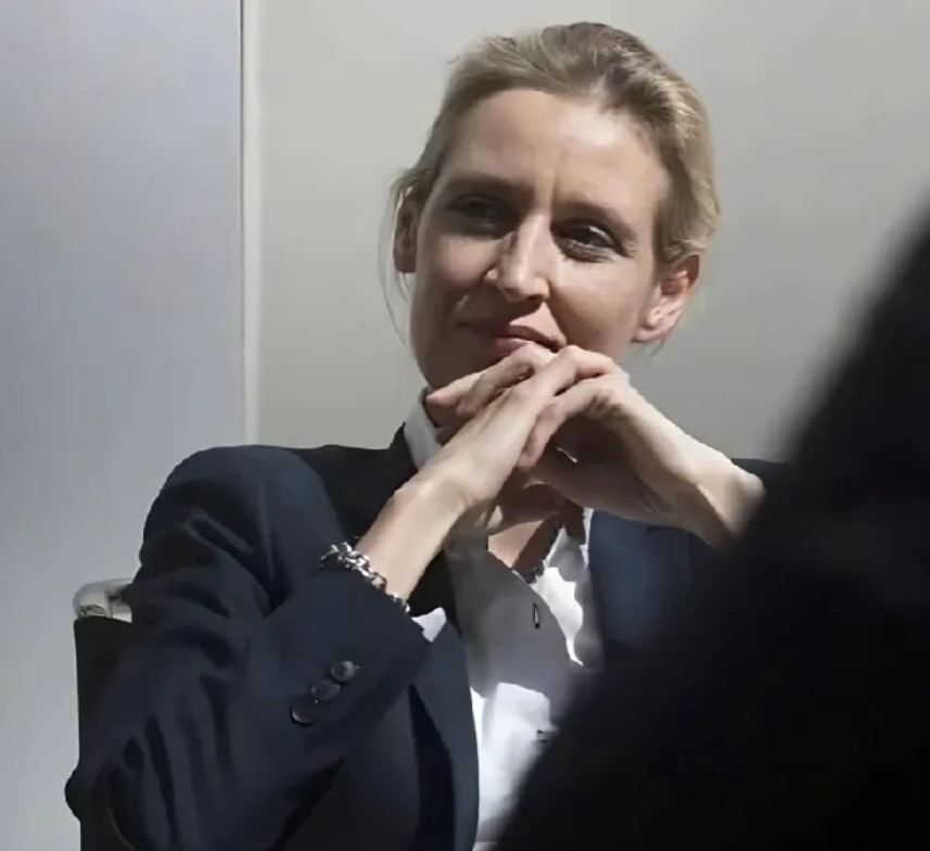 魏德尔要小心了！比中大奖还小的概率出现了，两周内选择党7名候选人相继死亡，结果德