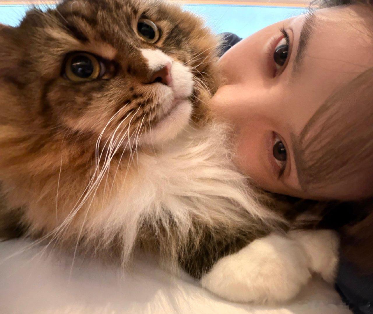 #田作之赫#康康的小爪子真是棉花本棉了但本人不养猫朋友的猫猫的爪子也不像棉花所以在此之前对“棉花像猫