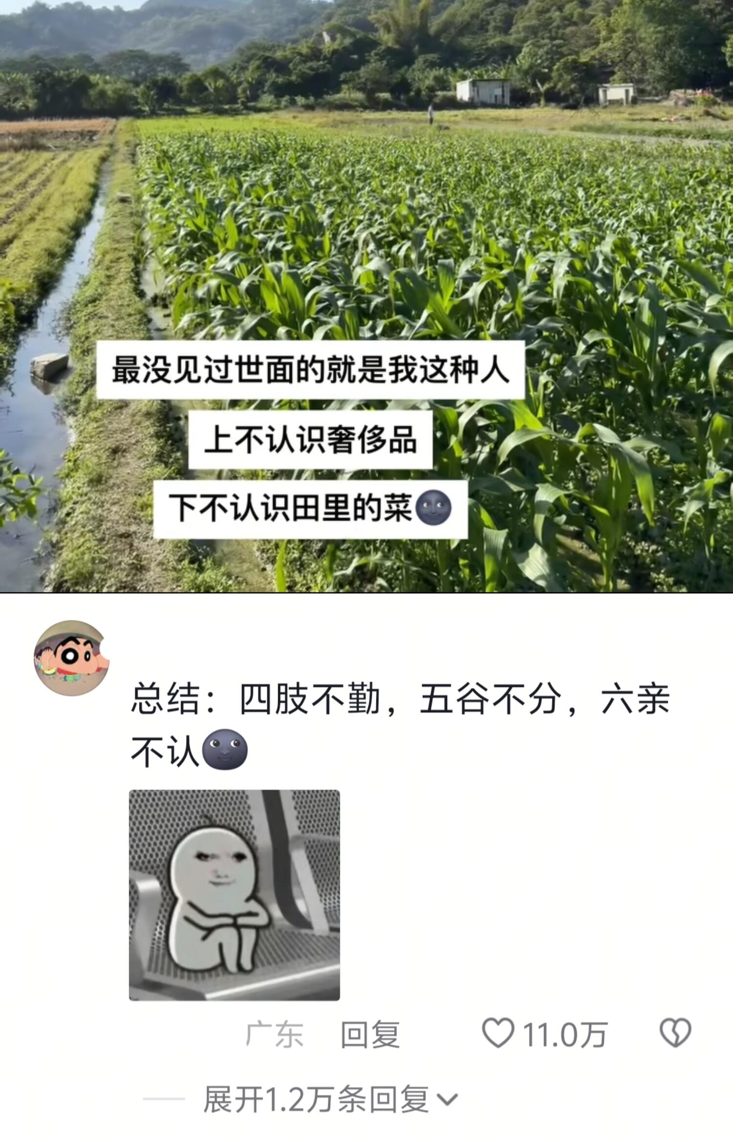 最没见过世面的就是我这种人