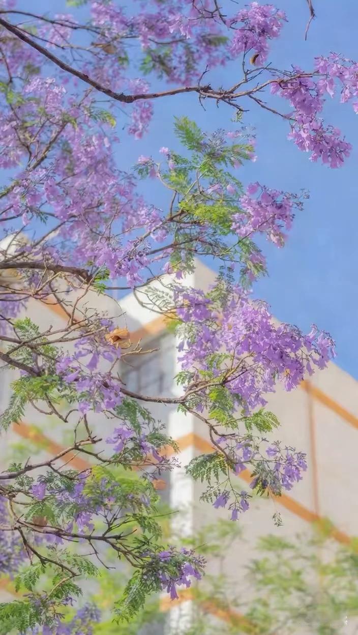 有人托举和没人托举，区别真的很大吗？我认识两个朋友，他们都是同个厂区的普通职