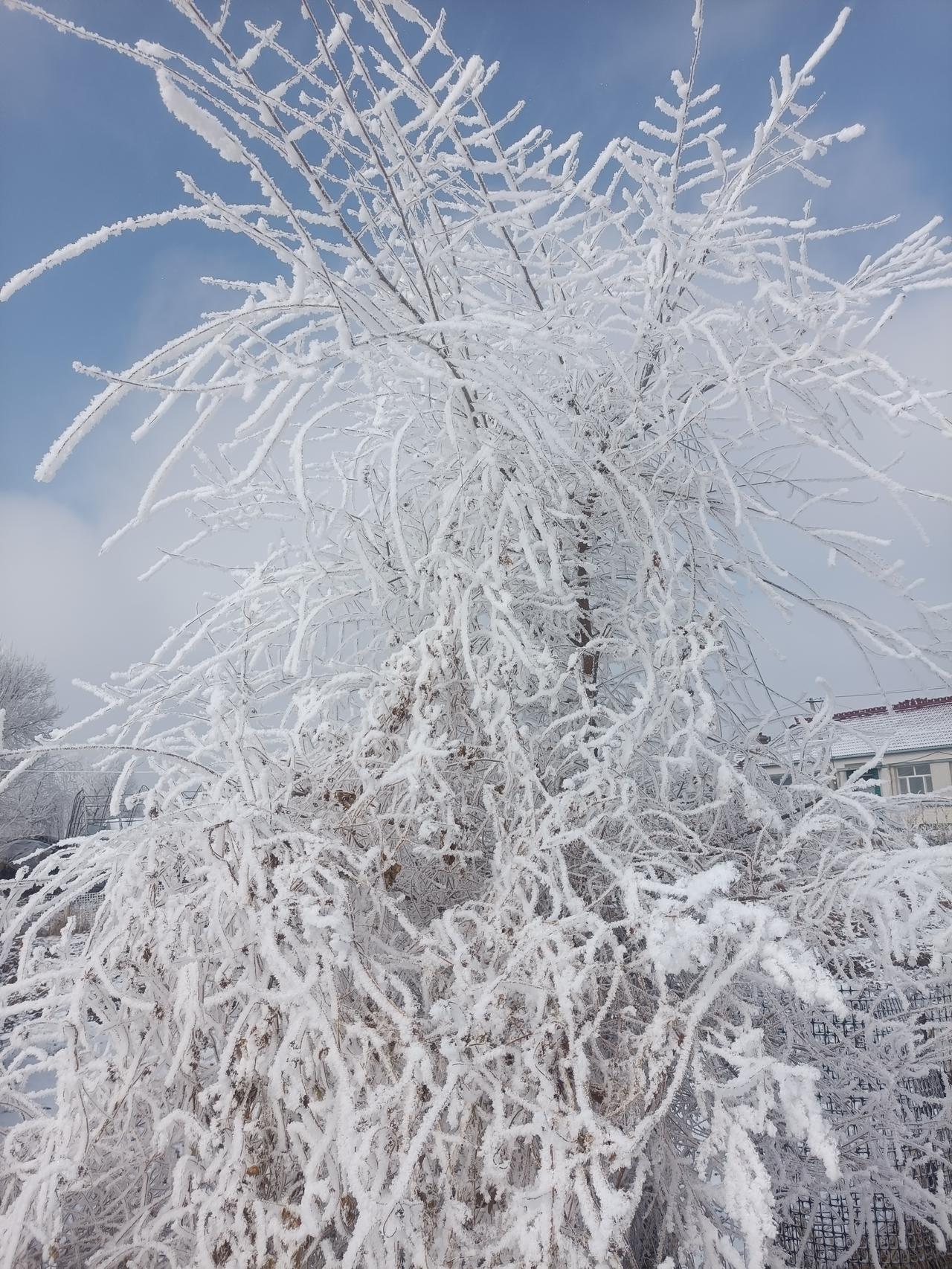 作为一个男人，最扎心的莫过于看着自己的老婆，用羡慕的眼神去打量别人的幸福。这不仅