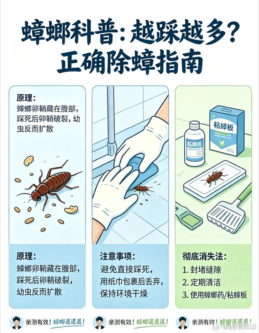 原来蟑螂真的可能越踩越多蟑螂绝对是所有人最讨厌的居家害虫，没有之一！很多人看见蟑