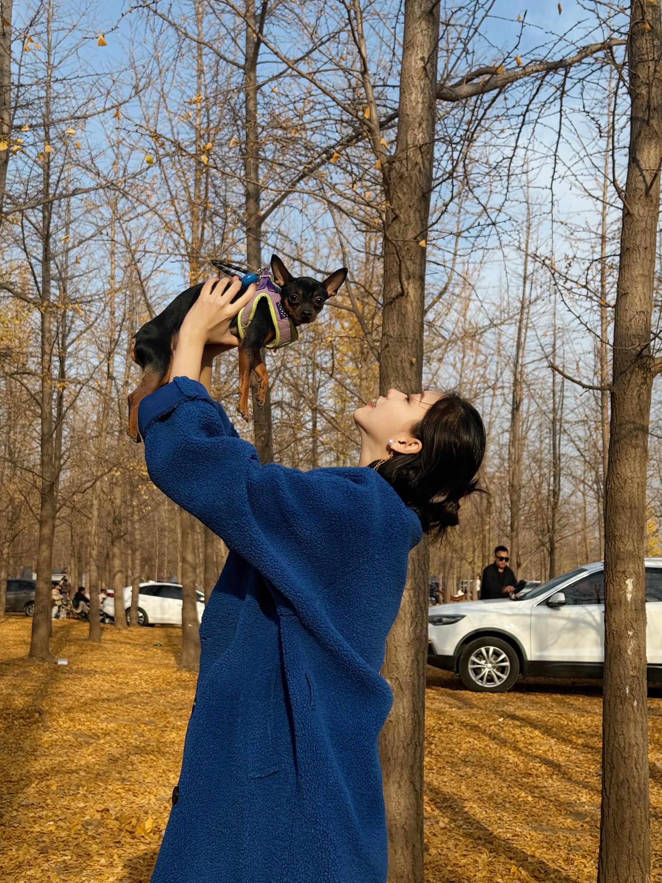 当然可以接受我的小狗调皮捣蛋 是一只听不懂指令的笨蛋小狗 因为他只是一...