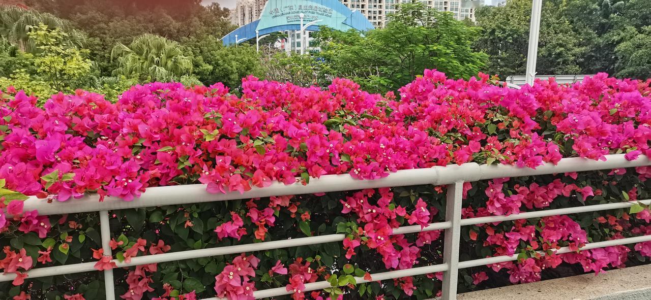 炒股炒的究竟是什么？炒的是认知，炒的是心态，炒的是人性。什么是认知？人的认