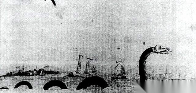 一百年后，那艘叫“莫侬伽海拉号”的捕鲸船，终于找到了。就在一个地图上都找不到的