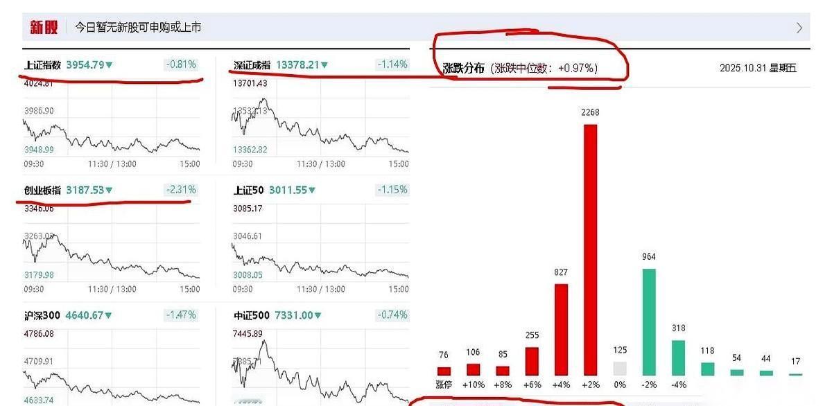指数跌成狗。结果你打开账户一看，居然是红的？还赚了？是不是感觉今天活在平行世