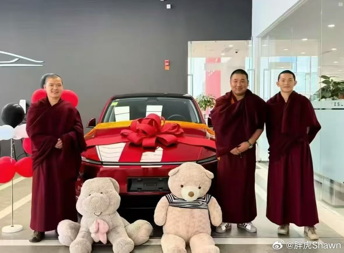 大师严选，特寺拉[doge]特斯拉​​​