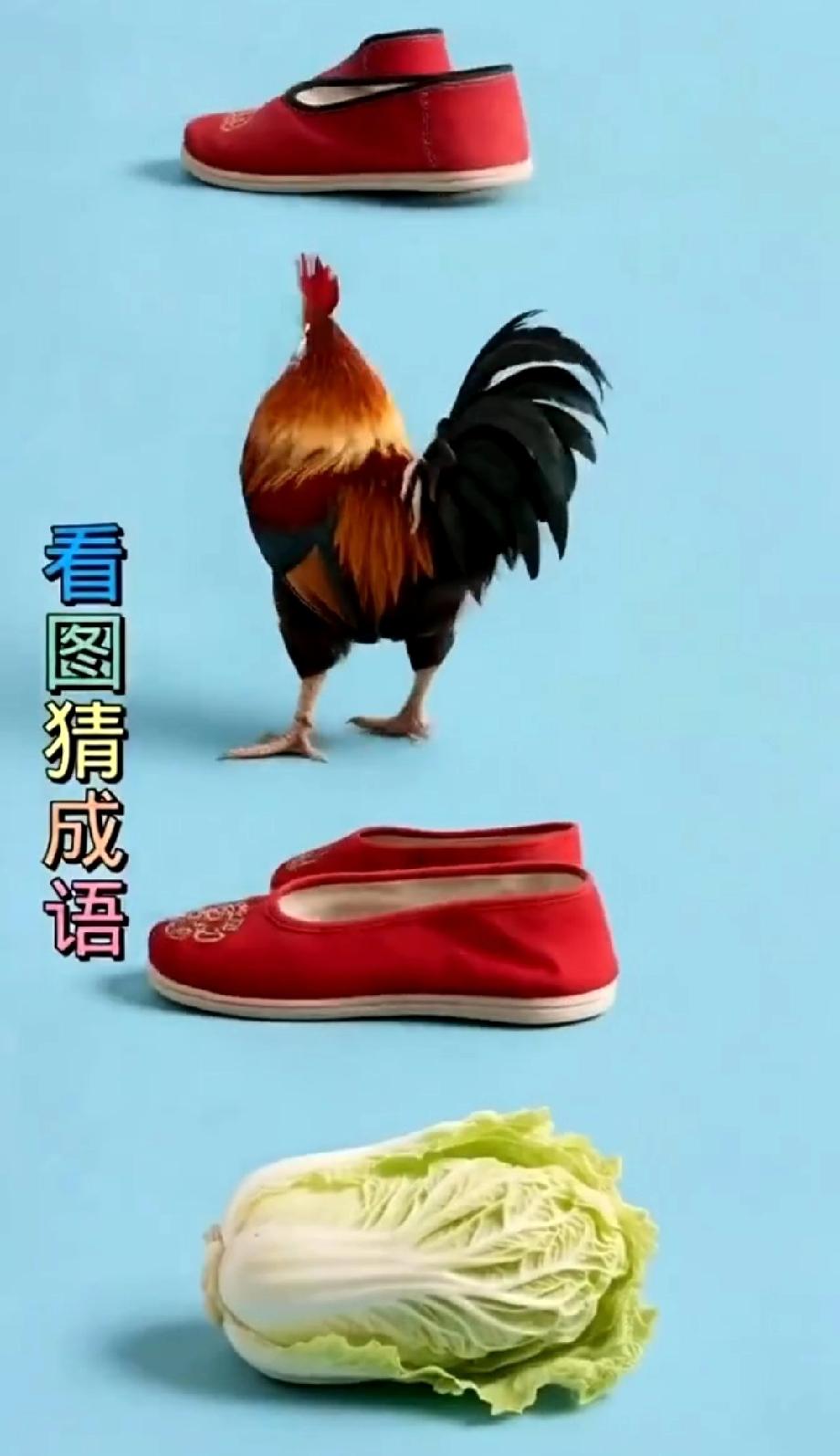  这看图猜成语太“绝”了！红鞋+公鸡+白菜，90%的人都猜不对，你敢挑战吗？