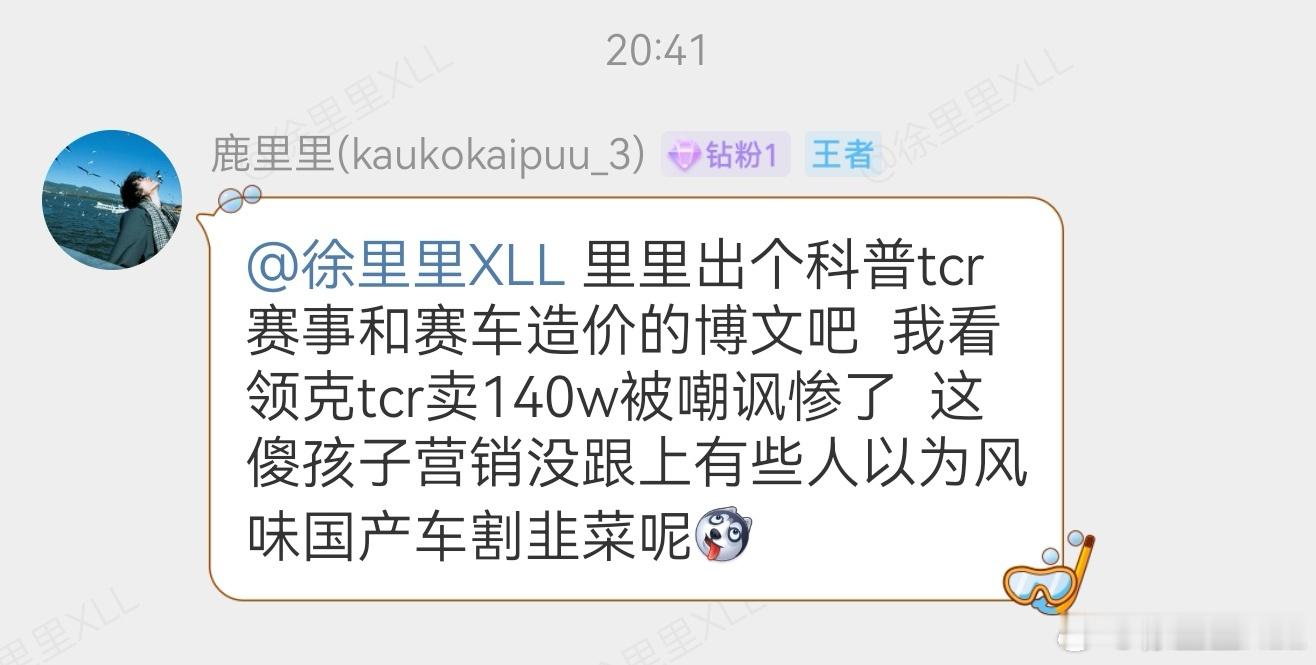 好吧，那就聊一聊领克03TCR这台车。这是一辆纯正的赛车，不能上牌，不能上路行驶