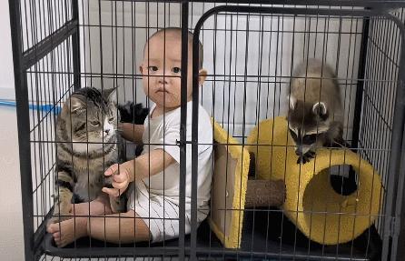 来之前也没说是合租啊，你要提前说我也不能来。​​​