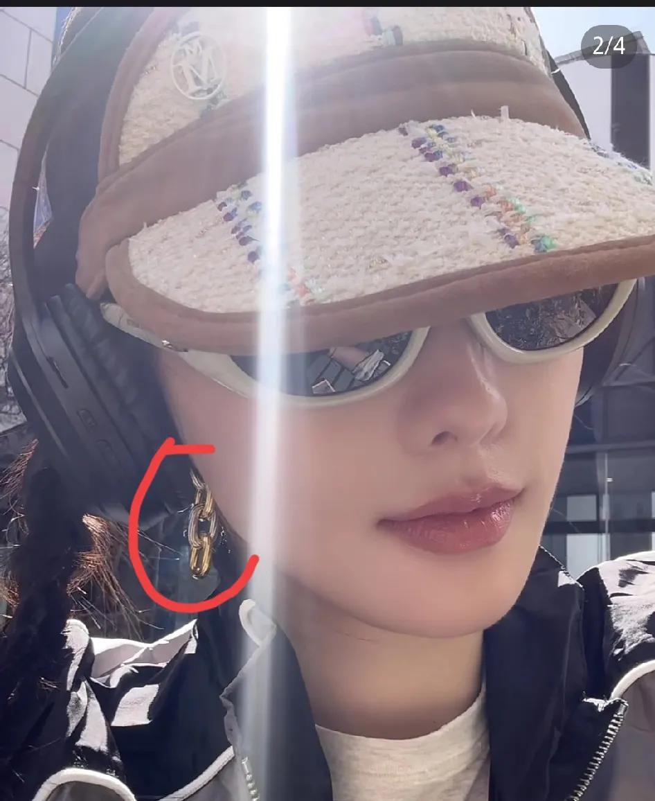 张嘉倪这耳环有点奇怪。我看着是包包的链条，可能她和买超离婚后，变得节俭了。她