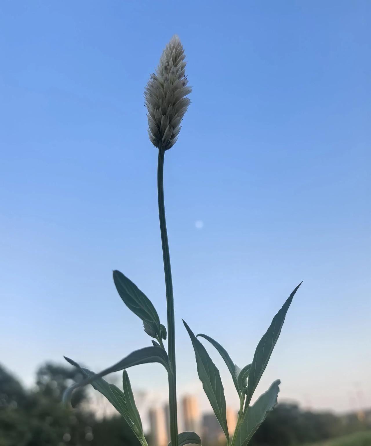 #浙江#还是浙江动作快！江苏好几个地级市的学院想改大学，搞得“热热闹闹”。没想
