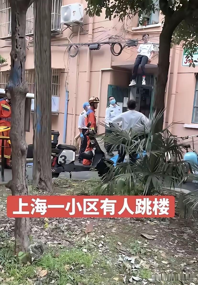 听哥一句劝，自己下来吧[捂脸哭]
