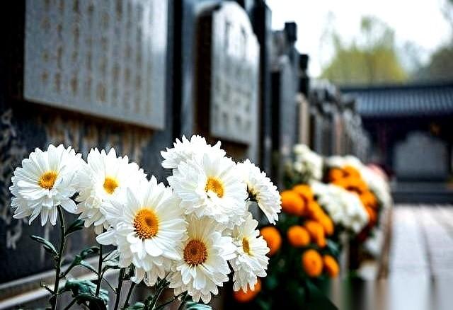 以后谁要是再跟我说“死不起”，我就把这新闻甩他脸上。国家终于出手了。就一句话