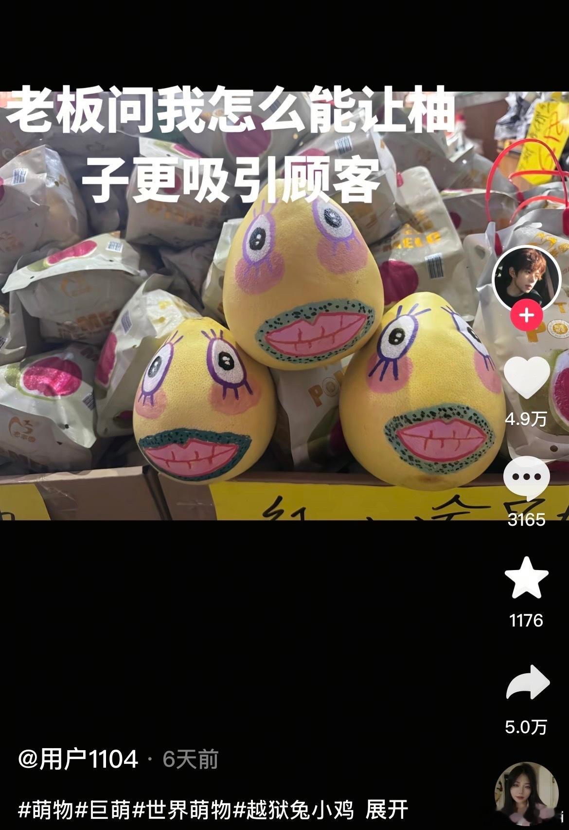 碰到小石榴就老实了​​​