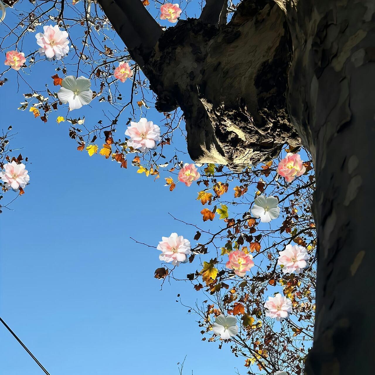 超治愈WeChat蓝色系背景图～