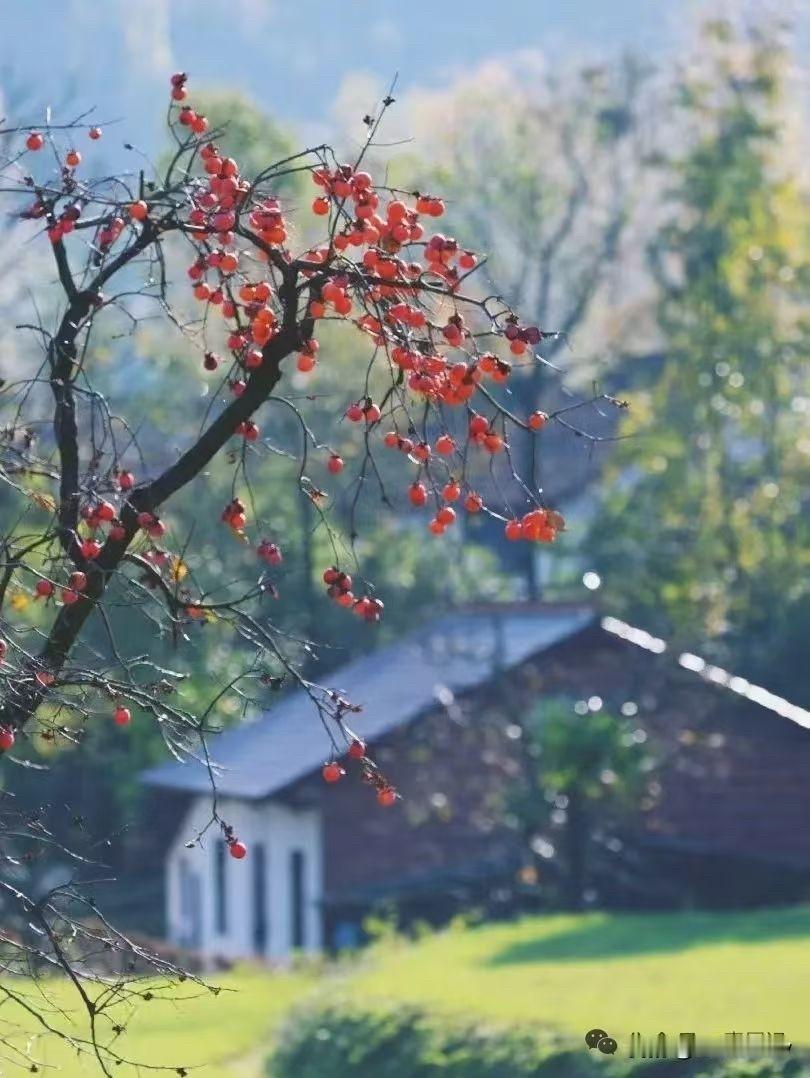 周三武汉地铁客流量大幅上升至406万人次[呲牙笑][呲牙笑][呲牙笑]爆料身边事